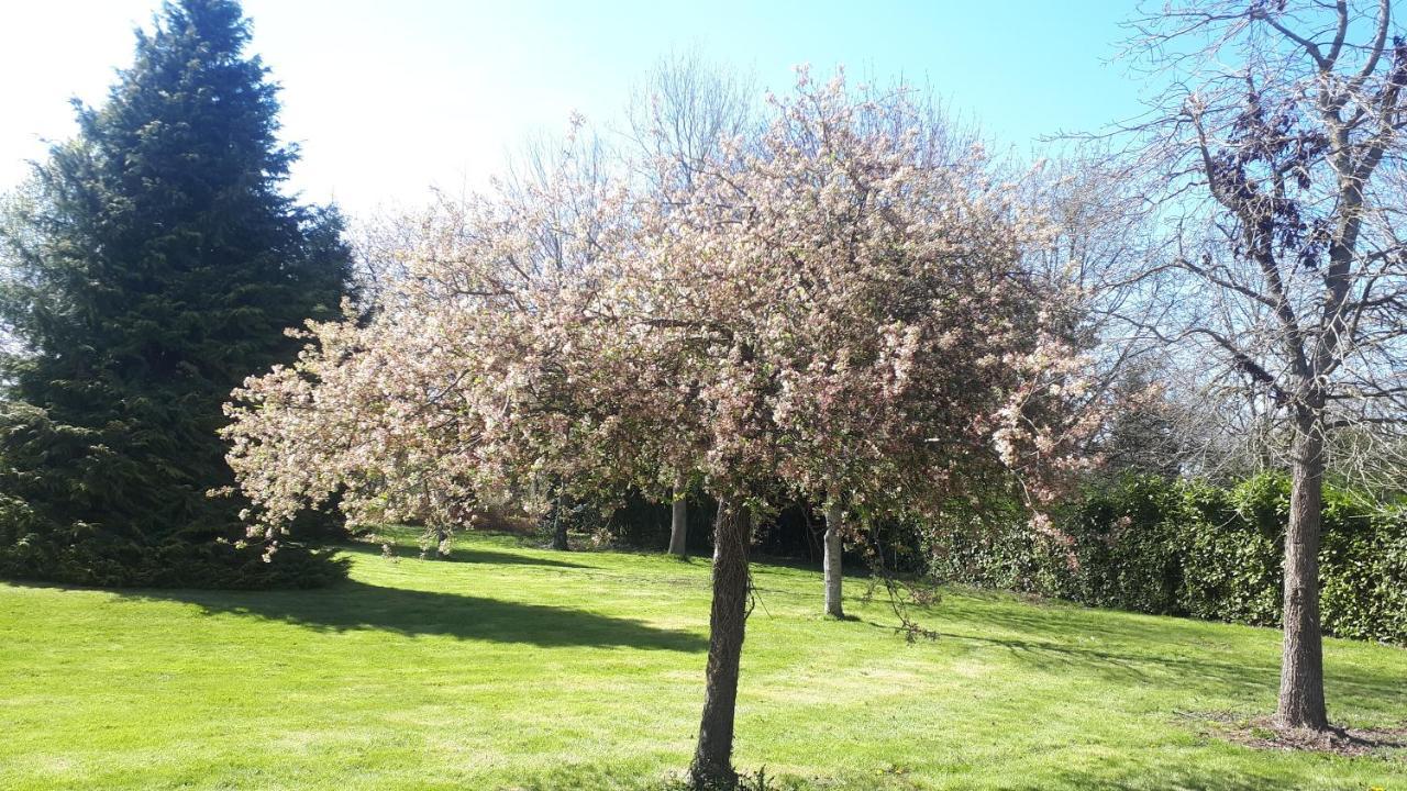 Gite De Bon Air Sens-de-Bretagne Ngoại thất bức ảnh